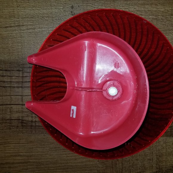 Syrian Hamster 12 Inch Saucer - Picture 3 of 3